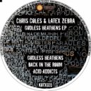 Chris Coles & Latex Zebra - Back In The Room (Original Mix)