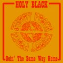 Holy Black - Send Down The Morning
