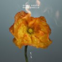 Dirty South - Dope Shells
