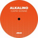 Alkalino - U Have To Understand