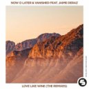 Now O Later & Vanished ft. Jaime Deraz - Love Like Wine