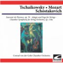 Conrad von der Goltz Chamber Orchestra & Conrad von der Goltz - Tschaikowsky: Souvenir de Florence, Op. 70: Sextett for Strings D Minor - Adagio cantabile e con moto (feat. Conrad von der Goltz) ()