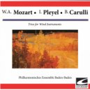 Philharmonisches Ensemble Baden-Baden - Pleyel: Trio in E Flat Major, Op. 20: No. 2 for 2 clarinets and bassoon: Allegro vivace ()