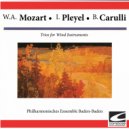 Philharmonisches Ensemble Baden-Baden - Carulli: Trio concertant in B Flat Major, Op. 1 for 2 clarinets and bassoon: Andante sostenuto