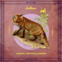 Audiense - The Birth of a Miracle