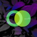 Daxa - Let You Know