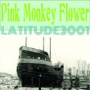 Pink Monkey Flower - Pinkdisco