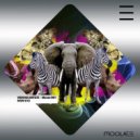 Yannick Alvarez - Tribal Sounds