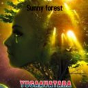 yugaavatara - Sunny forest