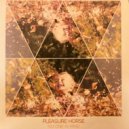 Pleasure Horse - Country/Blues ()