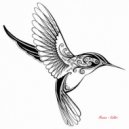 Masson - Kolibri