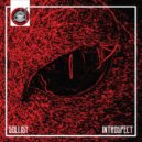 Sollist - Introspect