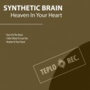 Synthetic Brain - I Don\'t Want To Lose You ()