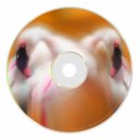 SoTaN - Micro (Original mix)