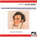 Caspar da Salo Quartett - Quintet 'The Trout' in A major op. 114 D 667 - Thema con variazioni: Andantino - Allegretto