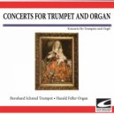 Bernhard Schmid & Harald Feller - Johann Baptist Georg Neruda - Concert for Trumpet and Organ in E flat major - Allegro