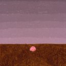 Foxtails - so it goes