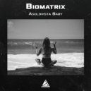 Biomatrix - Children Children Are Not Mine (Original Mix)