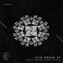 Juan M - Acid Organ