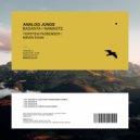 Analog Jungs - Namaste