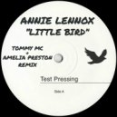 Annie Lennox - Little Bird (Tommy Mc & Amelia Preston Remix)