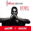 Haddaway - What is love (Hastro & Dopelore Remix)