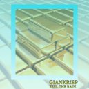 Giankrisp - Feel the rain (Original mix)