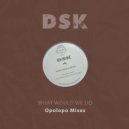 Dsk - What Would We Do