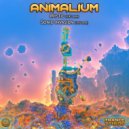 Animalium - Mystic
