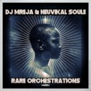 DJ Mreja, Neuvikal soule - Rare Orchestrations