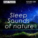 Aleh Famin - Sleep Sounds of nature