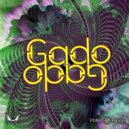 Samadhi - Gili' S Hexagon