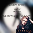 Adele - Skyfall