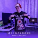 Niblewild - New Year Megamix (15.01.2022)