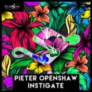 Pieter Openshaw - Instigate
