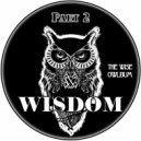 Wisdom - Mr Owl