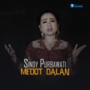 Sindy Purbawati - Medot Dalan