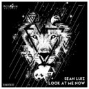 Sean Luiz - Look At Me Now (Original Mix)