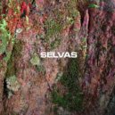 Selvas & Desierto Rojo - Nunca Me Fui (feat. Desierto Rojo) ()