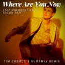 Lost Frequencies & Calum Scott - Where Are You Now