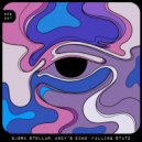 Bjørk Stellar, Andy's Echo - Falling State