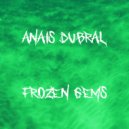Anais Dubral - Frozen Gems