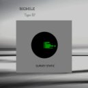 Frozen City  - Battle Sounds (Bigmile Remix)