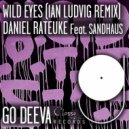 Daniel Rateuke feat. SANDHAUS - Wild Eyes