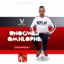 Unogwajomhlophe - Hulumeni Wenzani