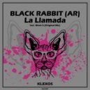 BLACK RABBIT (AR) - Work it (Original Mix)