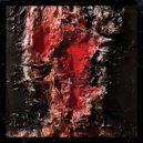 Gillian Carter - Watching a Friend Die ()