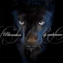 Piloramos - Dj.emberare