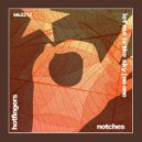 Notches - Let Me Is The Sky