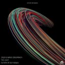 Ziger & Mind Conspiracy - The Light